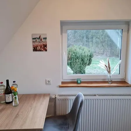 Апартаменты Dachgeschosswohnung - Erholung Mit Waldblick Mustin (Schleswig-Holstein)